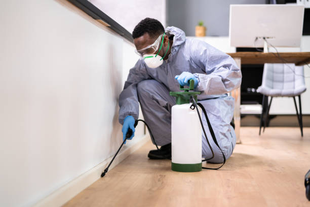 Best Residential Pest Control  in Canfield, OH